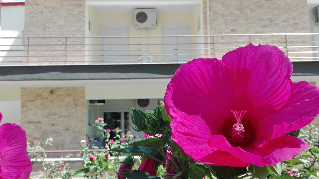 Ξενοδοχείο Φαμίλια Λουτρά Βόλβης Εξωτερικό φωτογραφία